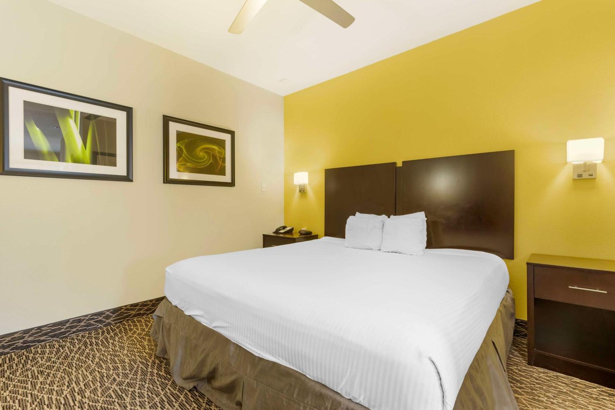 Best Western West Monroe Inn מראה חיצוני תמונה